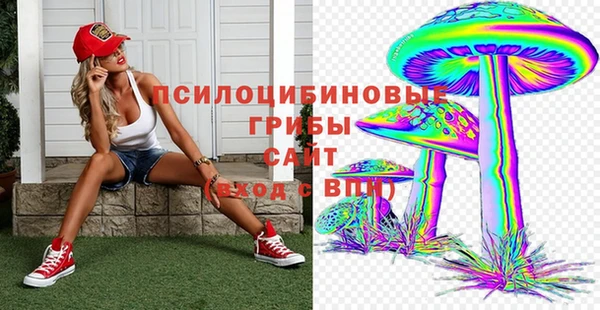 spice Богородицк