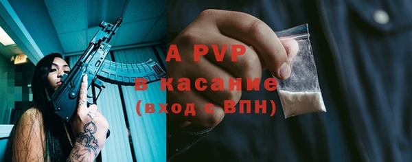 ешки Бородино