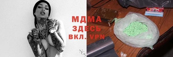 spice Богородицк