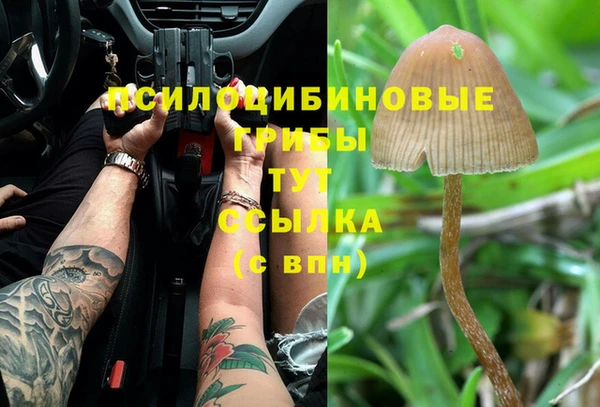 ECSTASY Богданович