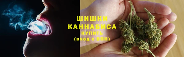 ECSTASY Богданович