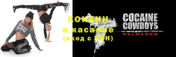 ешки Бородино
