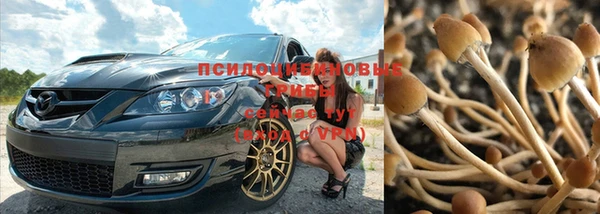 spice Богородицк