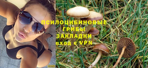 ГАЛЛЮЦИНОГЕННЫЕ ГРИБЫ Бугульма